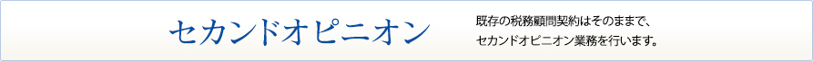 セカンドオピニオン 既存の税務顧問契約はそのままで、セカンドオピニオン業務を行います。